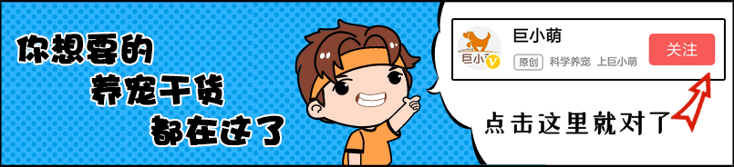 狗狗可以吃红枣吗（狗狗可以吃红枣吗干的）