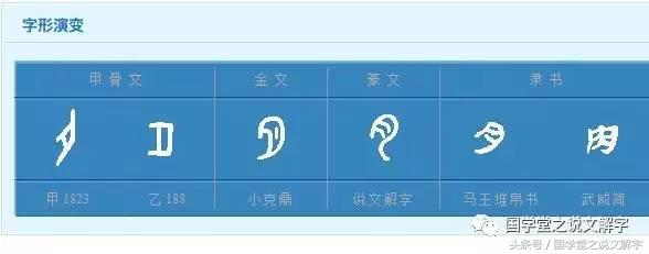 月字旁的有什么字（忄字旁的有什么字）2