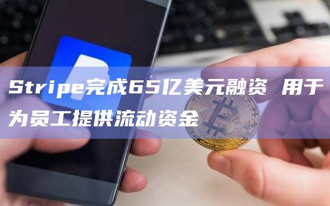 Stripe完成65亿美元融资 用于为员工提供流动资金