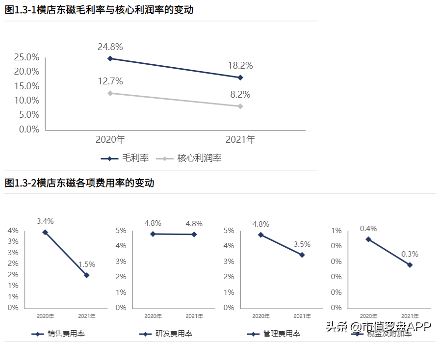 横店东磁股票前景如何（横店东磁 股吧）