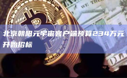 北京朝阳元宇宙客户端预算234万元开始招标