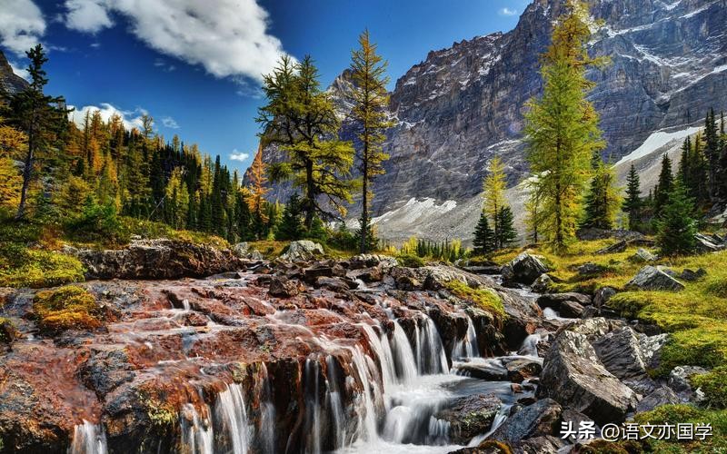 漂浮和悬浮的区别（漂浮和悬浮浮力都等于重力吗）