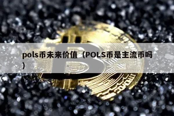 pols币未来价值(POLS币是主流币吗)