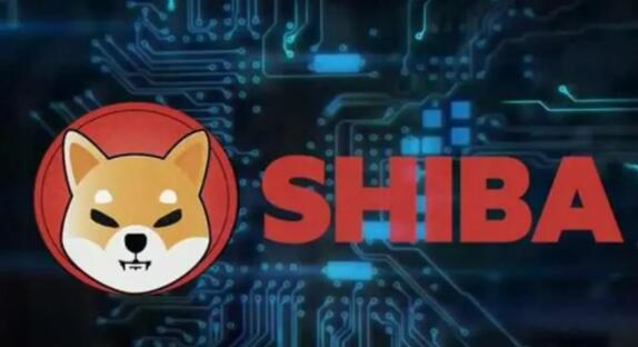 btc008-什么叫比特币通俗一点