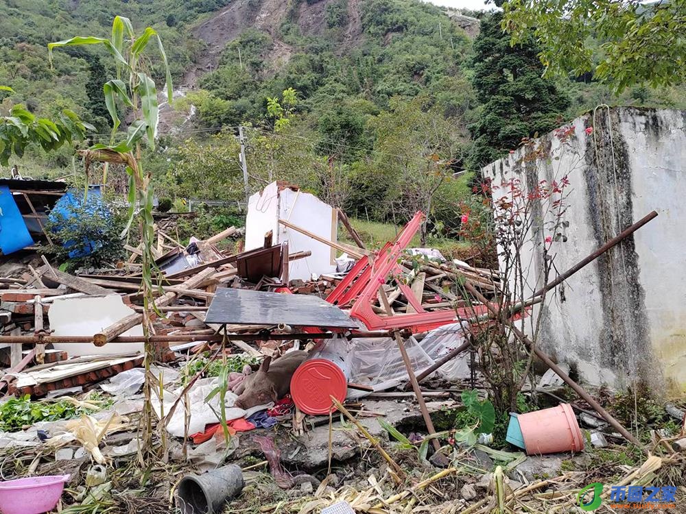 梦见在水里捞东西（孕妇梦见在水里捞东西）