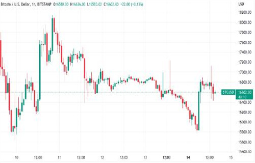 爱德华·斯诺登渴望缩减到16.5万美元的比特币