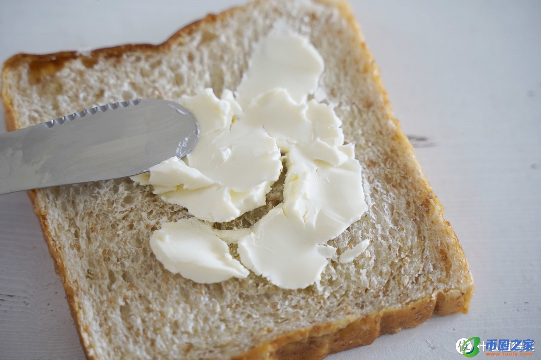 奶酪是什么味道的（奶酪是什么味道的东西）