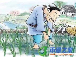 麟趾呈祥什么意思（麟趾呈祥书法图片）