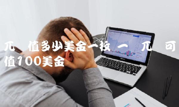 一个兀币可值100美金插图 一个兀币可值100美金