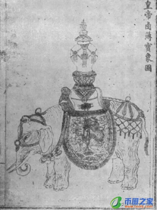 大象代表什么寓意（在泰国大象代表什么寓意）