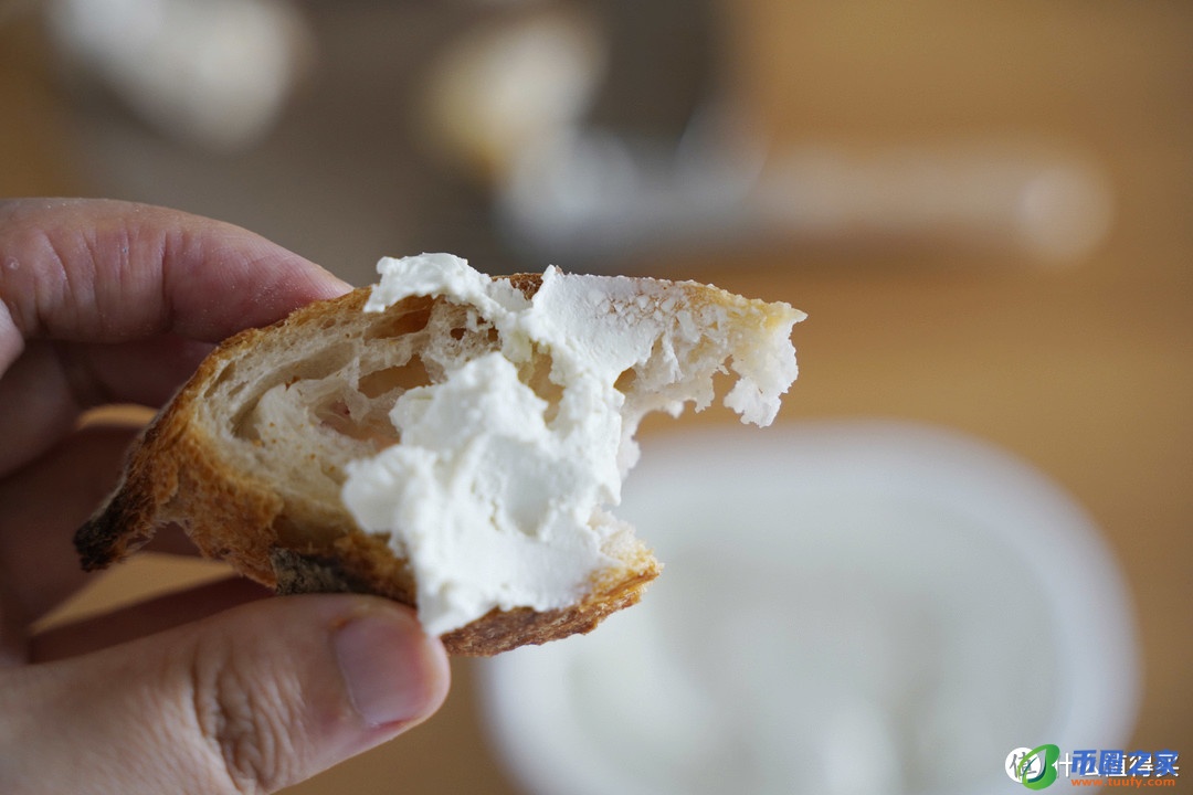 奶酪是什么味道的（奶酪是什么味道的东西）