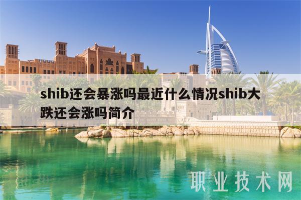 shib还会暴涨吗最近什么情况shib大跌还会涨吗简介插图 shib还会暴涨吗最近什么情况shib大跌还会涨吗简介