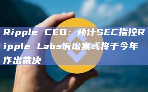 Ripple CEO：预计SEC指控Ripple Labs诉讼案或将于今年作出裁决