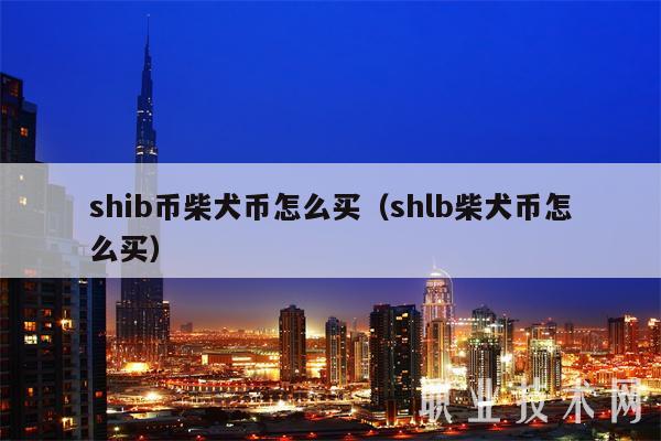 shib币柴犬币怎么买（shlb柴犬币怎么买）