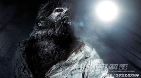 月字旁的有什么字（忄字旁的有什么字）10