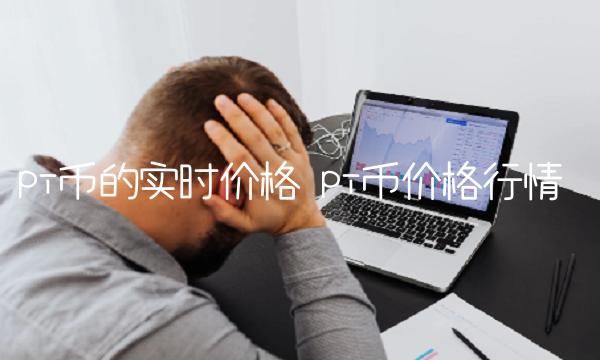 pi币的实时价格