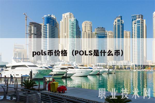 pols币价格（POLS是什么币）
