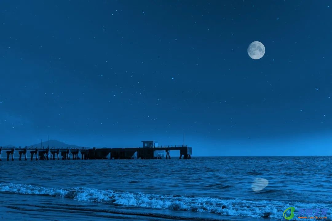 月光的唯美的诗句（月光的唯美的描写）