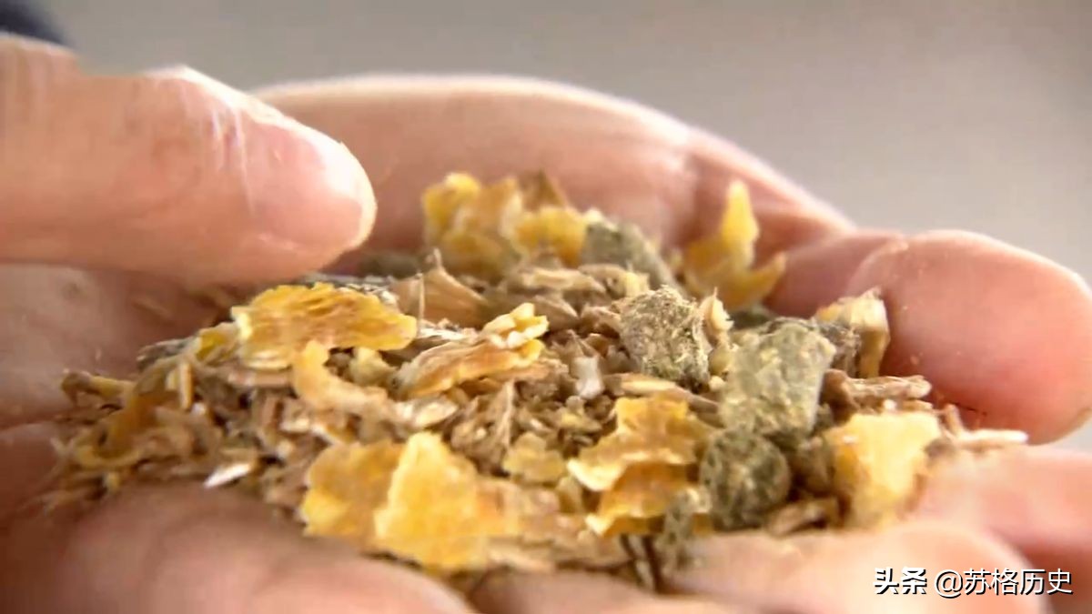 玉米压片的价格（买小型玉米压片设备多少钱）