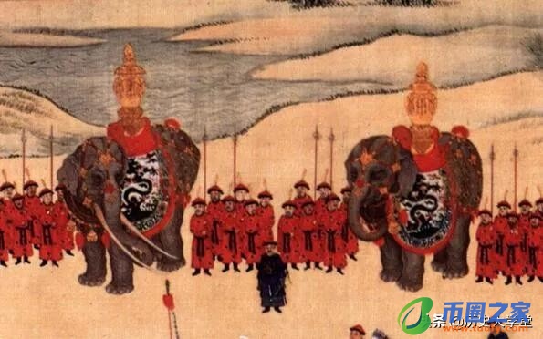 大象代表什么寓意（在泰国大象代表什么寓意）