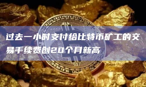 过去一小时支付给比特币矿工的交易手续费创20个月新高