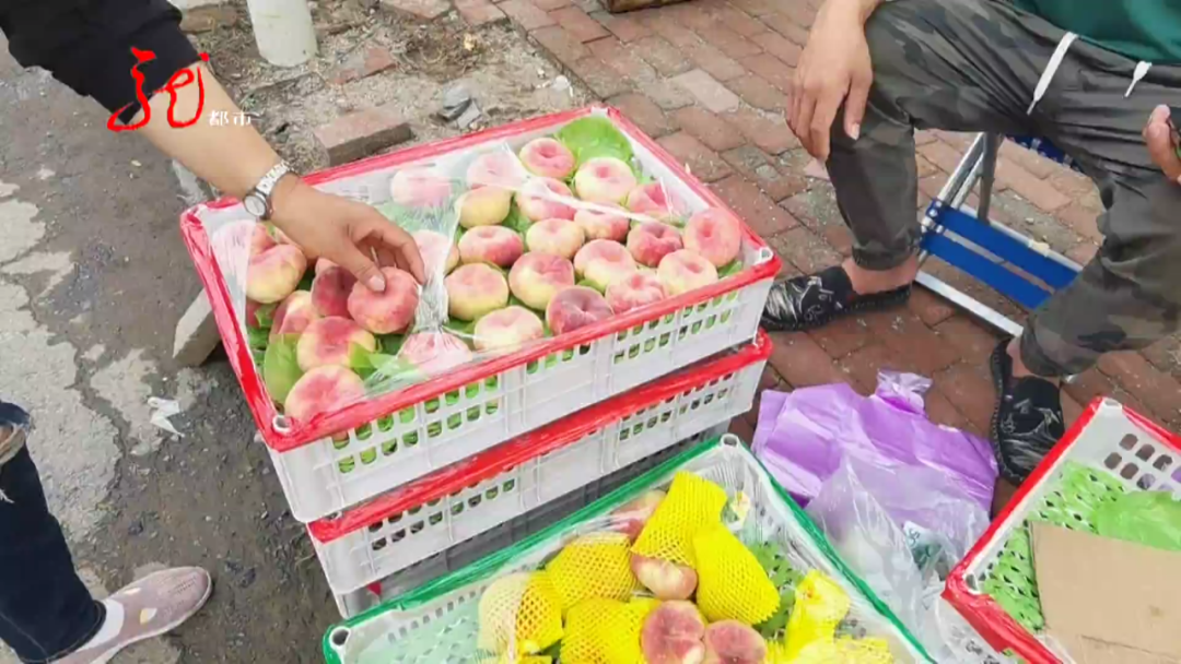 投桃报李意思是什么（李代桃僵的意思）