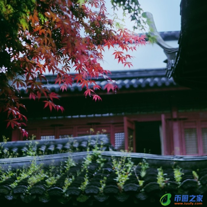 黄鹤楼的作者是谁（崔颢《黄鹤楼》全诗）