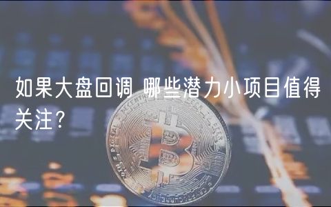 如果大盘回调 哪些潜力小项目值得关注?