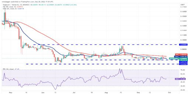 狗狗币最新价格是多少 DOGE今日最新消息