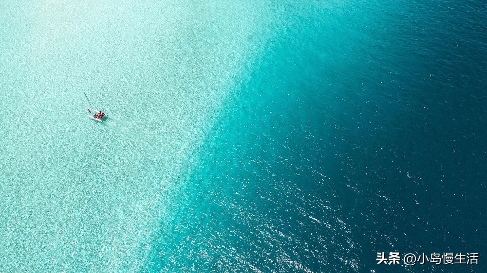 b站收益是怎么算的（b站收益是怎么算的直播）