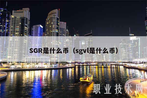 SGR是什么币(sgvl是什么币)