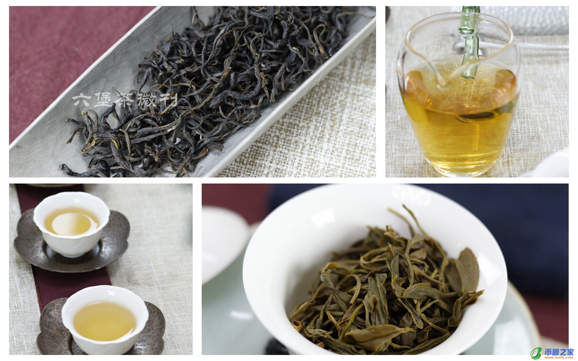 六堡茶的正确泡法（六堡茶的功效与作用）