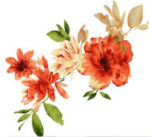 古代对牡丹的雅称（古代对牡丹花的别称）