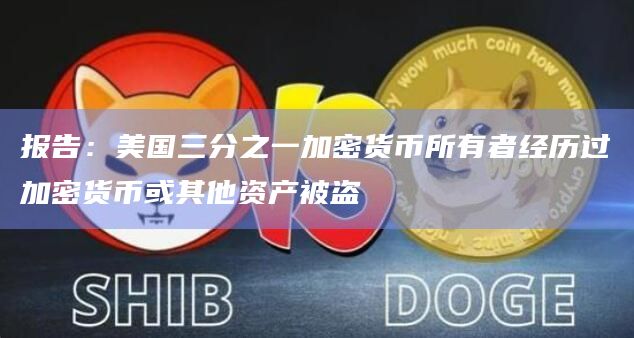 报告：美国三分之一加密货币所有者经历过加密货币或其他资产被盗