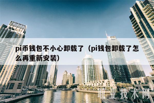 pi币钱包不小心卸载了（pi钱包卸载了怎么再重新安装）