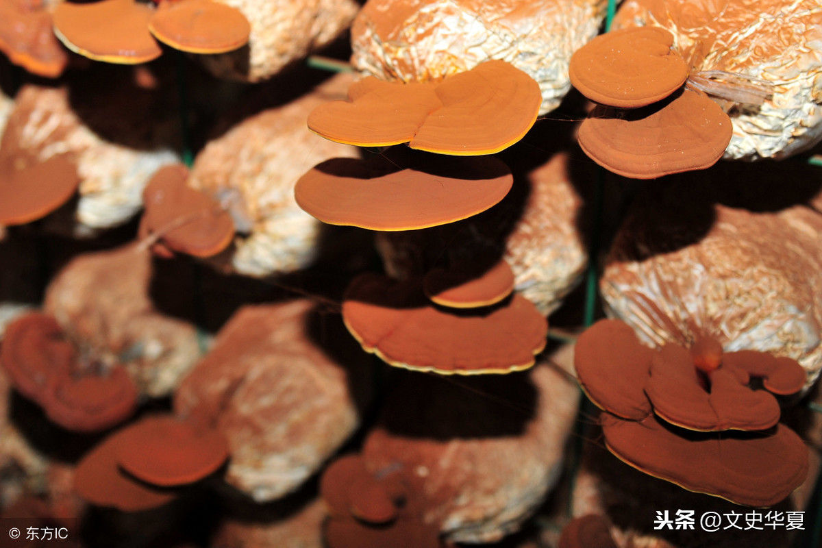 想飞上天和太阳肩并肩（想飞上天和太阳肩并肩是什么歌）3