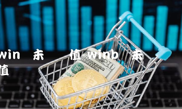 winb币未来价值