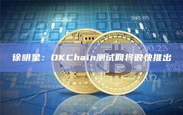 徐明星:OKChain测试网将很快推出