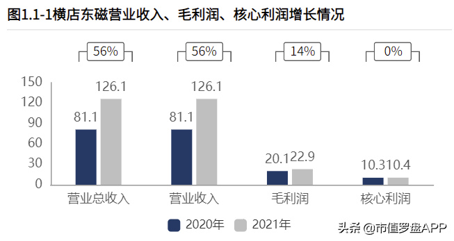 横店东磁股票前景如何（横店东磁 股吧）