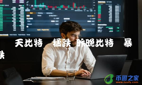 这两天比特币猛跌