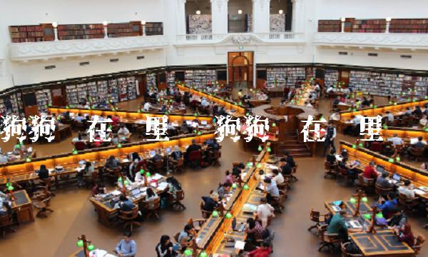 狗狗币在哪里买卖