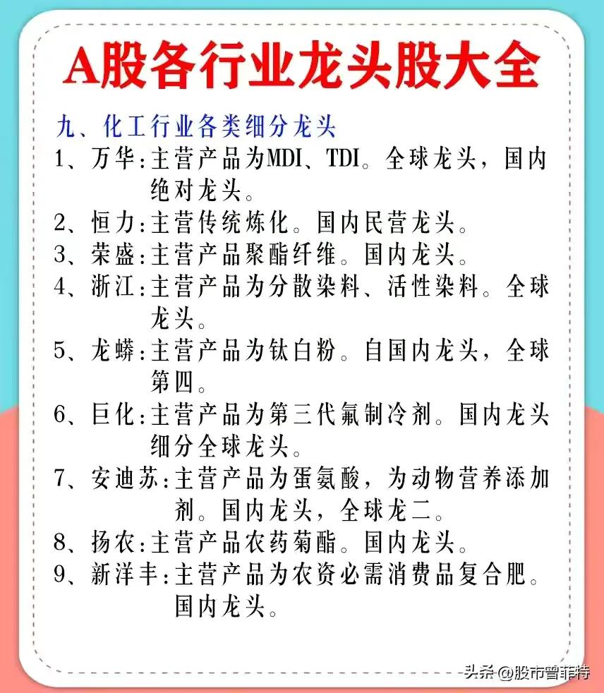 龙头股票有哪些（券商龙头股票有哪些）