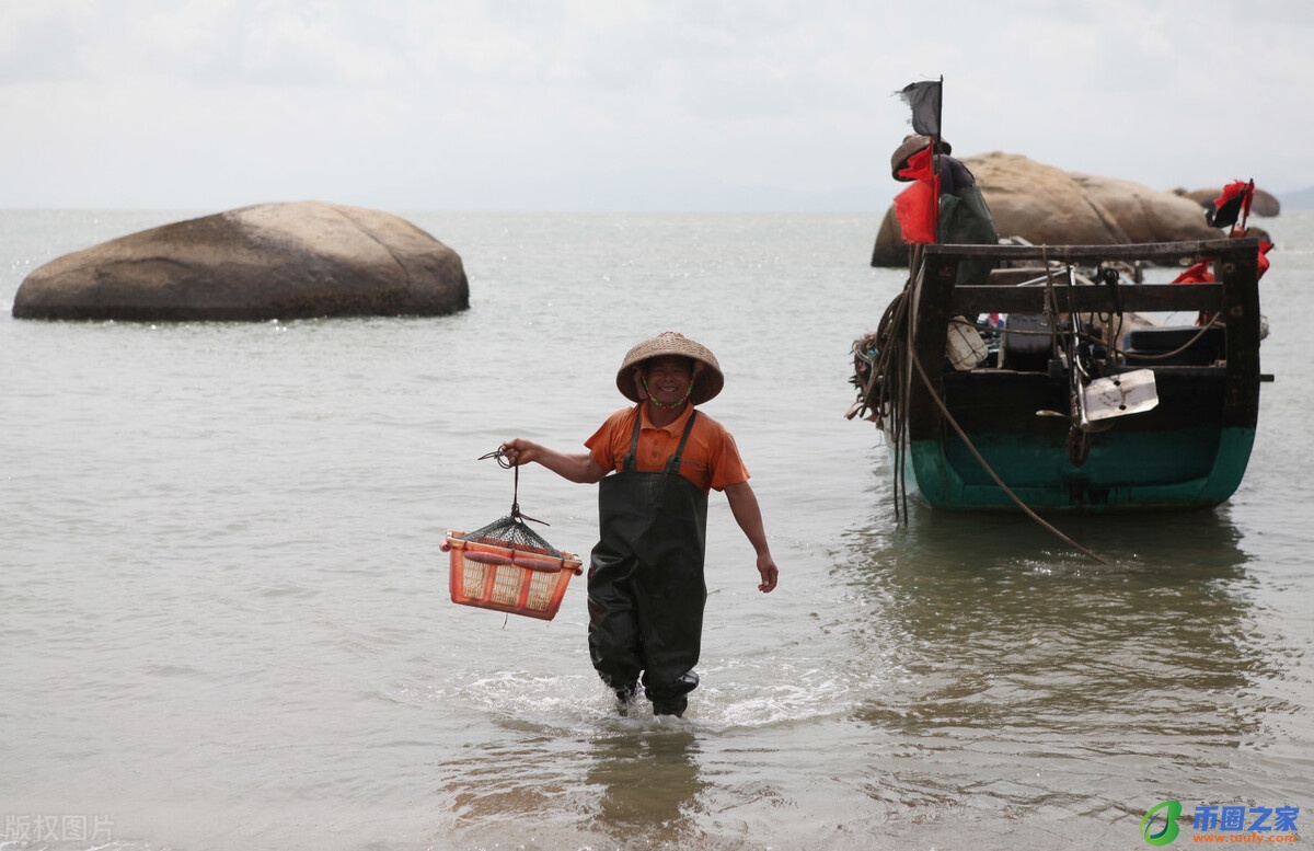 台山市属于哪个市（广州台山市属于哪个市）