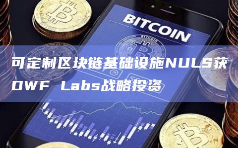 可定制区块链基础设施NULS获DWF Labs战略投资
