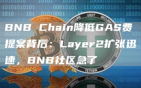 BNB Chain降低GAS费提案背后：Layer2扩张迅速，BNB社区急了