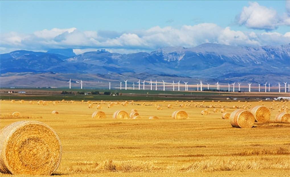 新手创业该找什么项目（新手创业做什么）