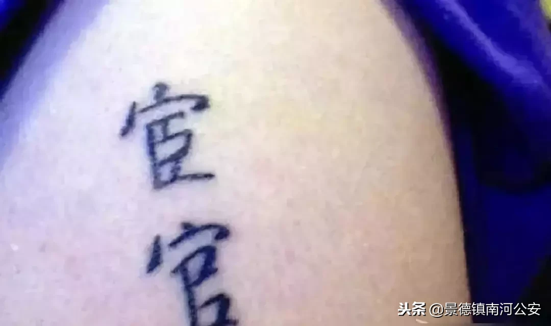 大嘴巴是什么意思（猫张大嘴巴是什么意思）