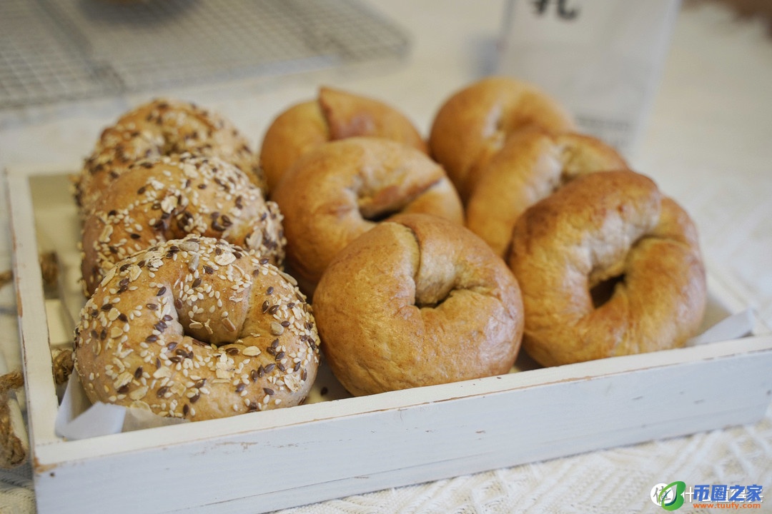 奶酪是什么味道的（奶酪是什么味道的东西）