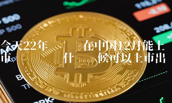 今天22年维卡币在中国12月能上市吗