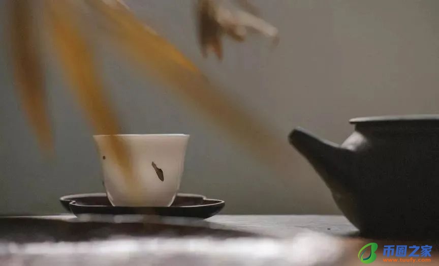 哀而不伤什么意思（哀而不伤的出处和典故）